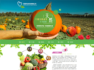 农业科技 有机蔬菜网站建设