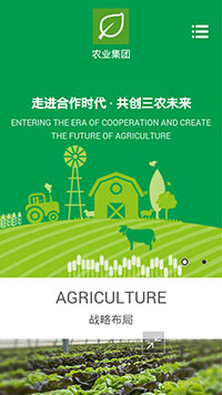 农业集团网站设计