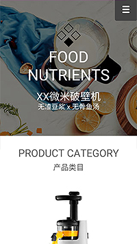 FOOD NUTRIENTS网站设计