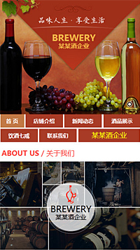 某某酒企业 三角形网站设计