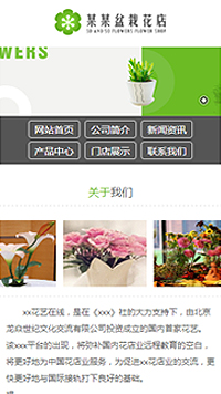 某某盆栽花店网站设计