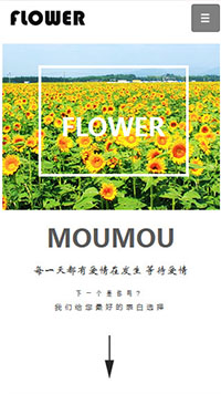 鲜花/文具/书籍网站设计FLOWER 半边图片