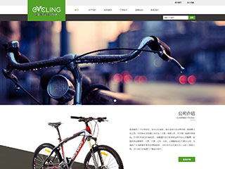 中国知名自行车领航者 山地车网站建设